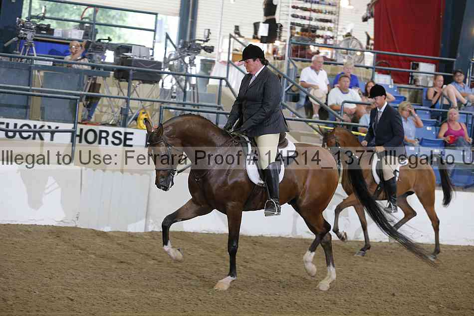 Proof 14r14_1377
