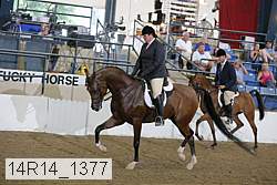 14r14_1377 proof
