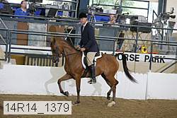 14r14_1379 proof