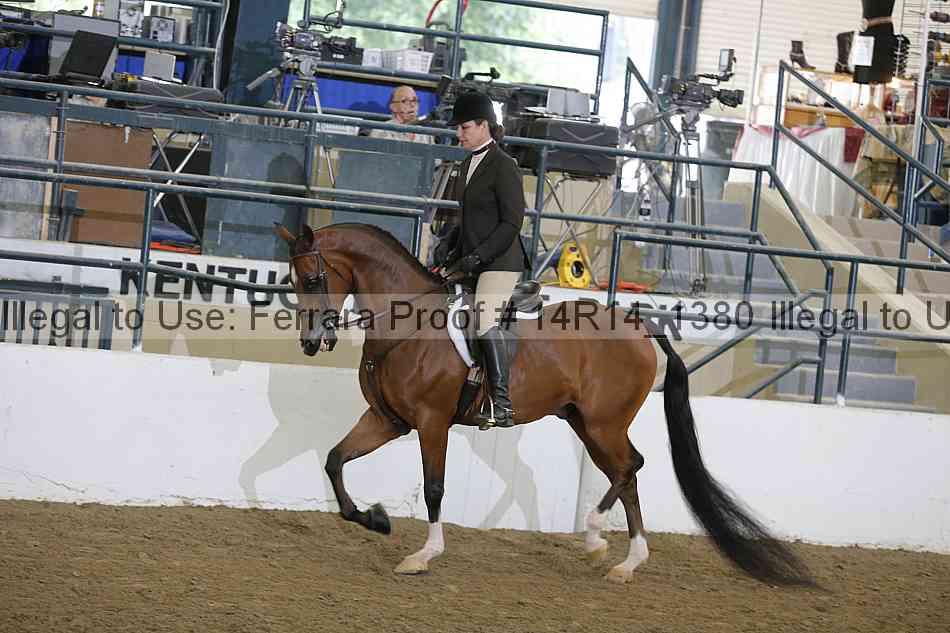 Proof 14r14_1380