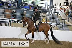 14r14_1380 proof