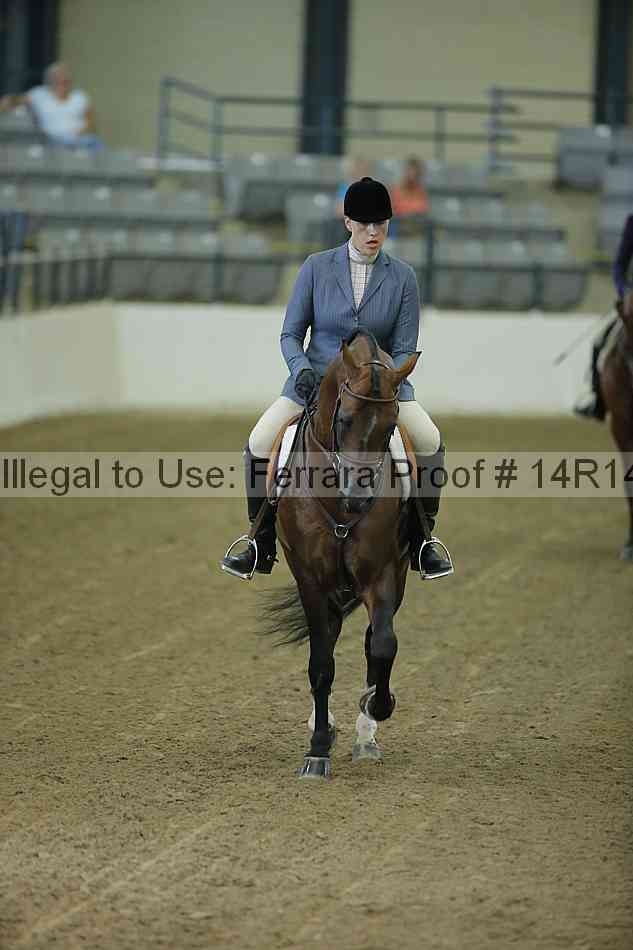 Proof 14r14_1382