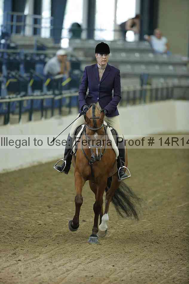 Proof 14r14_1383