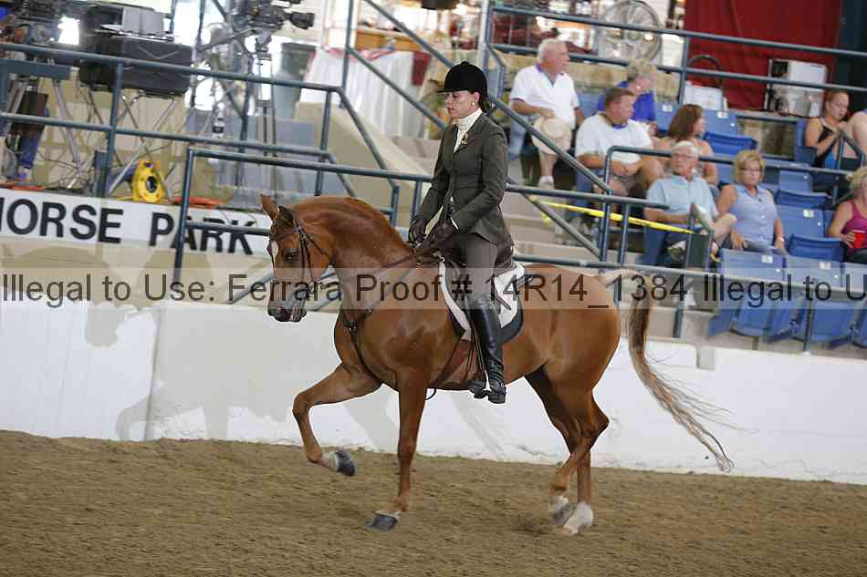 Proof 14r14_1384