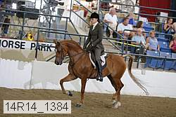 14r14_1384 proof