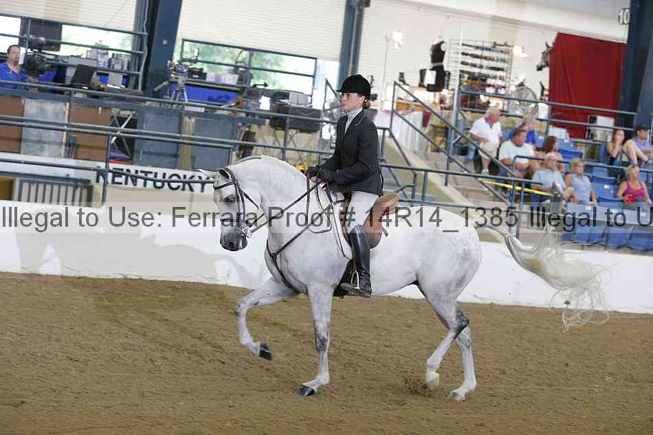 Proof 14r14_1385