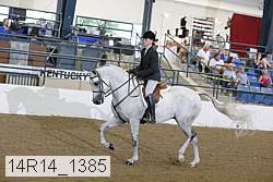 14r14_1385 proof