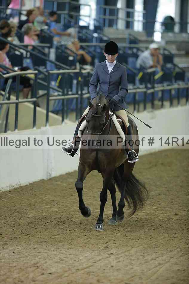 Proof 14r14_1386