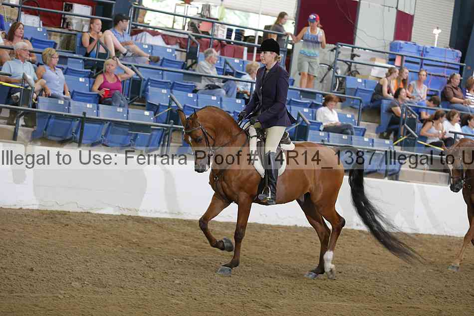 Proof 14r14_1387