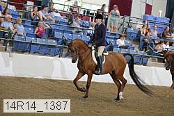 14r14_1387 proof