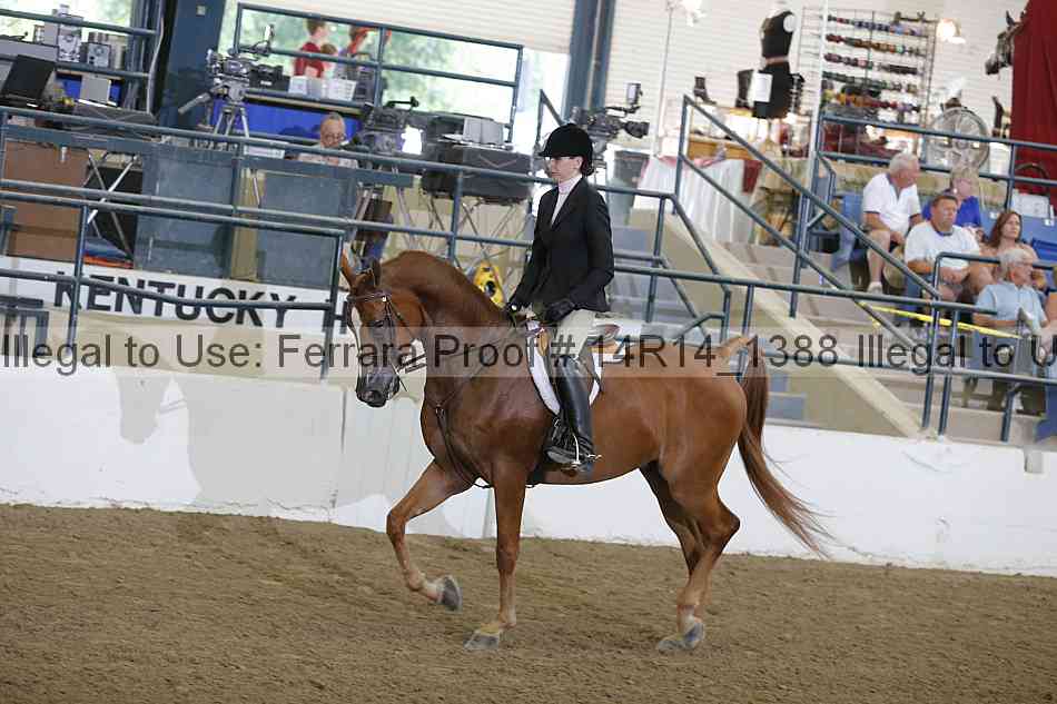 Proof 14r14_1388