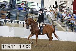 14r14_1388 proof