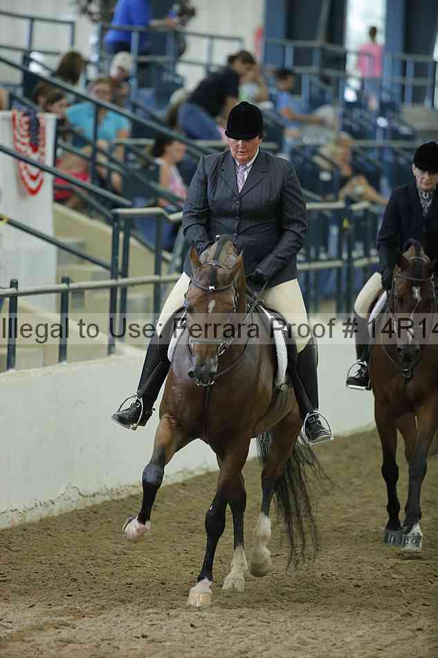 Proof 14r14_1389