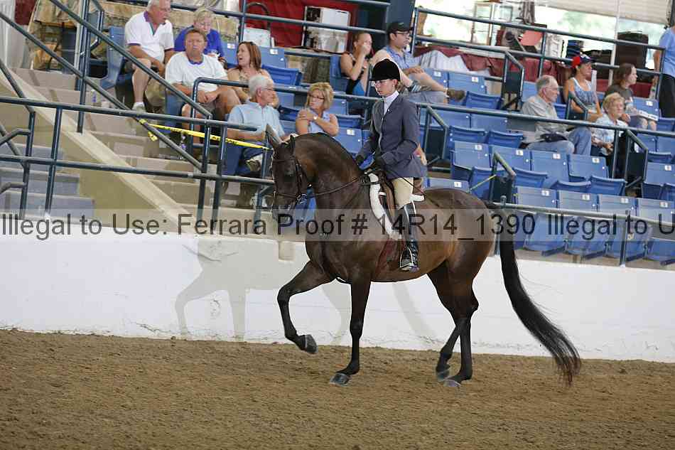 Proof 14r14_1390