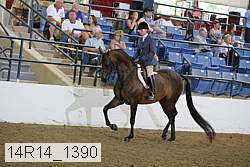 14r14_1390 proof