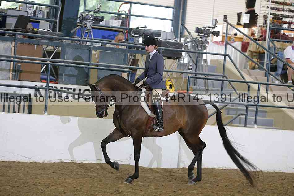 Proof 14r14_1391