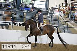 14r14_1391 proof