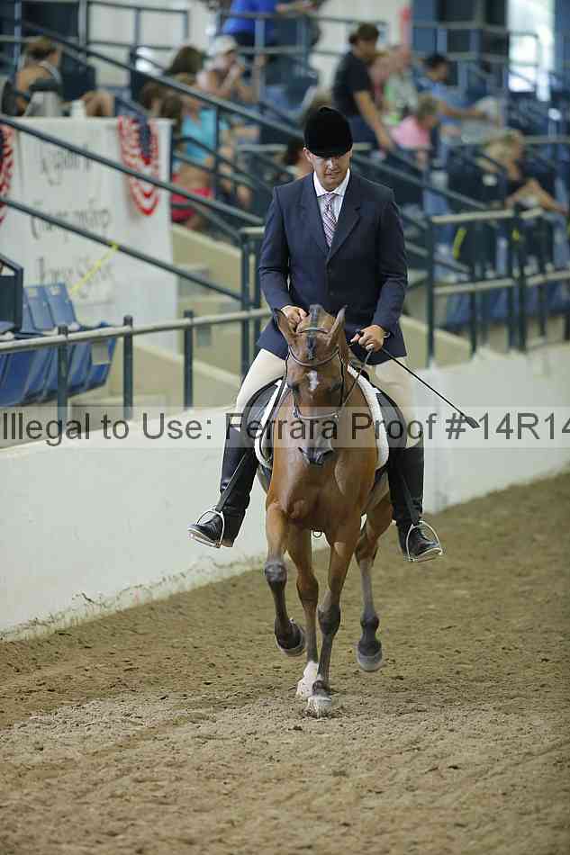 Proof 14r14_1393