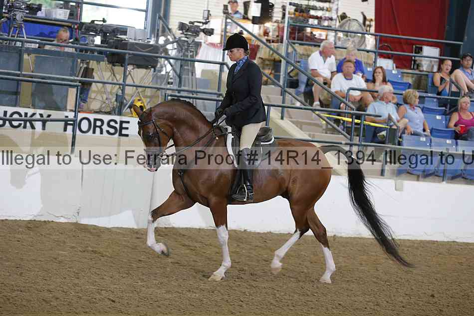 Proof 14r14_1394