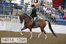 14r14_1394 proof