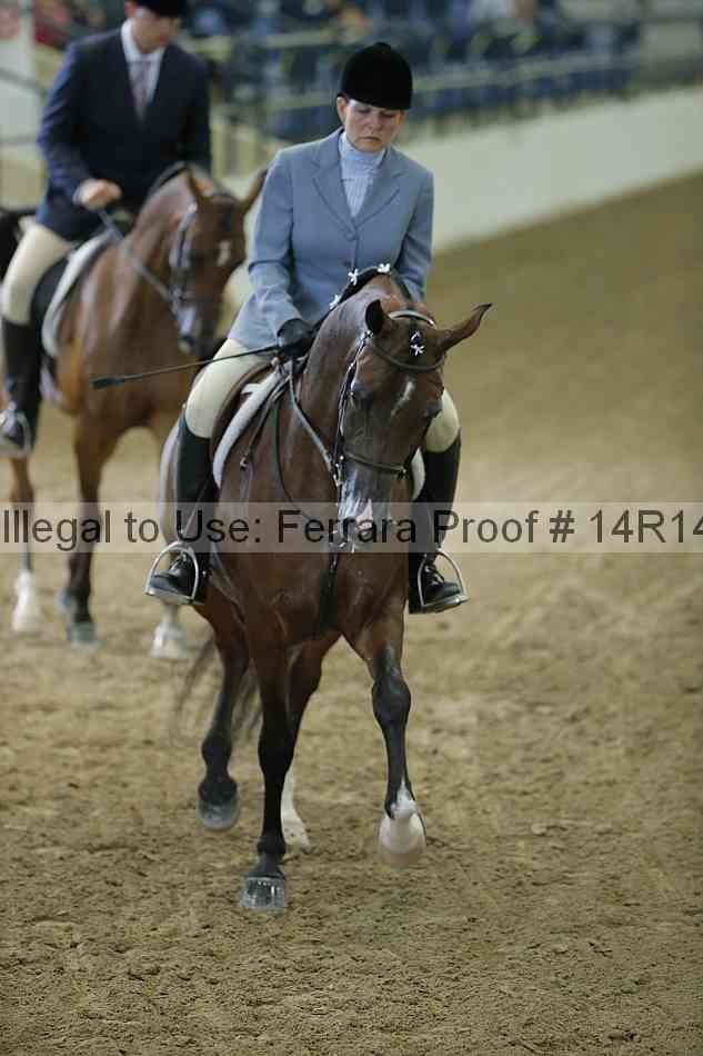 Proof 14r14_1395