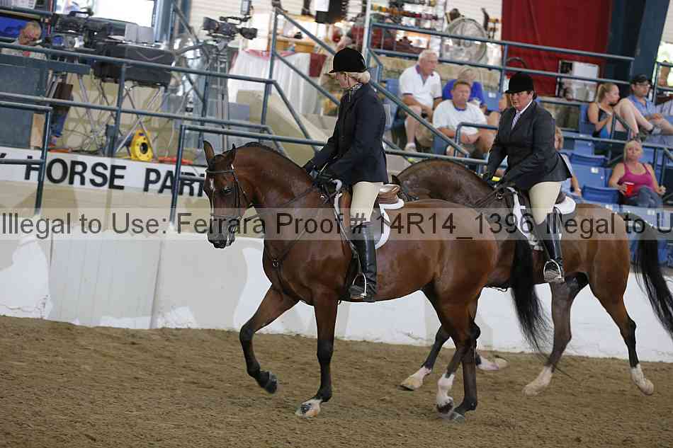 Proof 14r14_1396