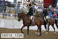 14r14_1396 proof