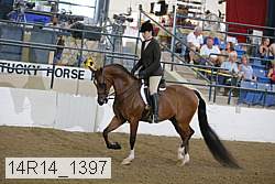 14r14_1397 proof