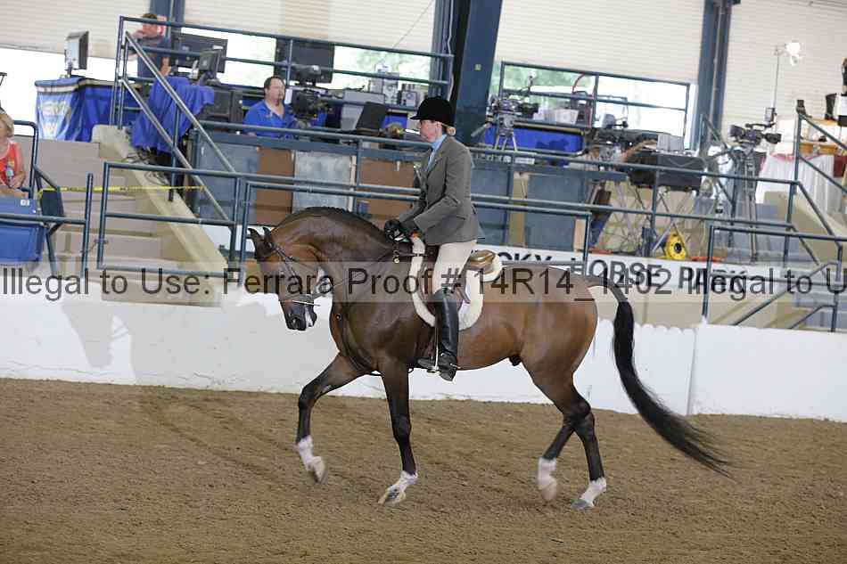 Proof 14r14_1402