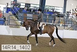 14r14_1402 proof