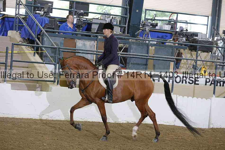 Proof 14r14_1403