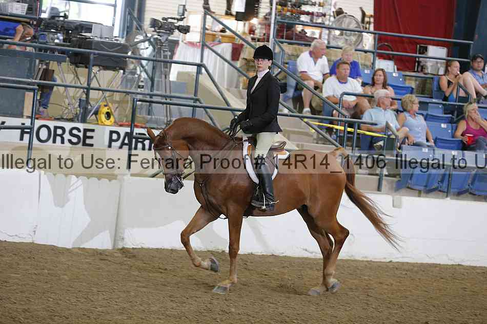 Proof 14r14_1406