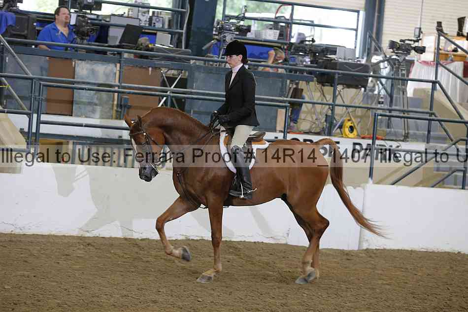 Proof 14r14_1407