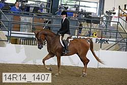 14r14_1407 proof