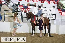 14r14_1408 proof