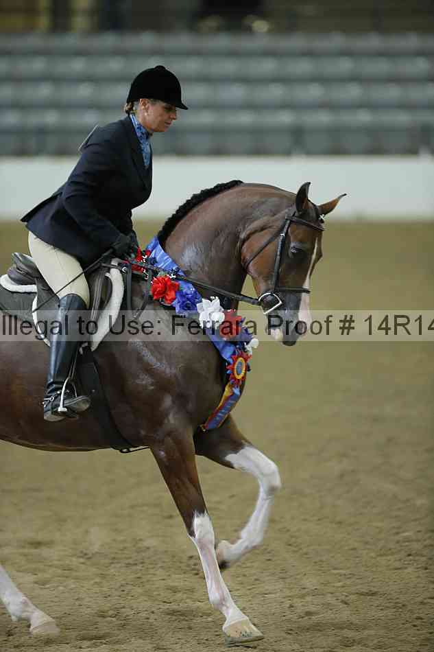 Proof 14r14_1411
