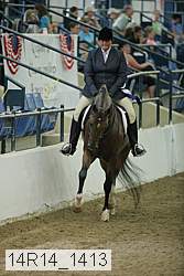 14r14_1413 proof