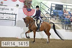 14r14_1415 proof