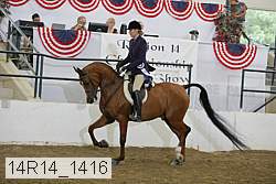 14r14_1416 proof