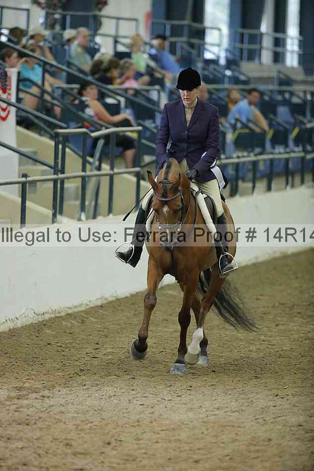 Proof 14r14_1419