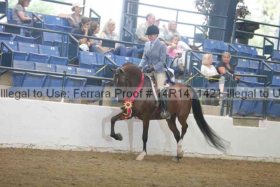 Proof 14r14_1421