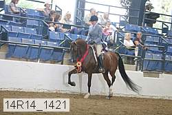 14r14_1421 proof