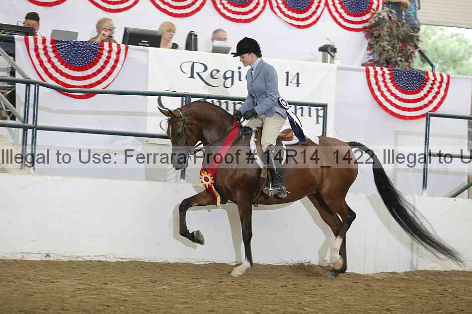 Proof 14r14_1422
