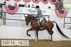14r14_1422 proof