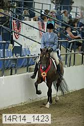 14r14_1423 proof