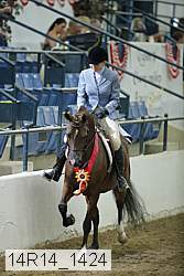 14r14_1424 proof