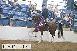 14r14_1425 proof