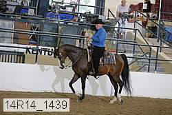 14r14_1439 proof