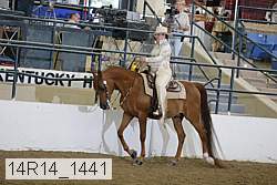 14r14_1441 proof