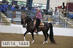 14r14_1444 proof